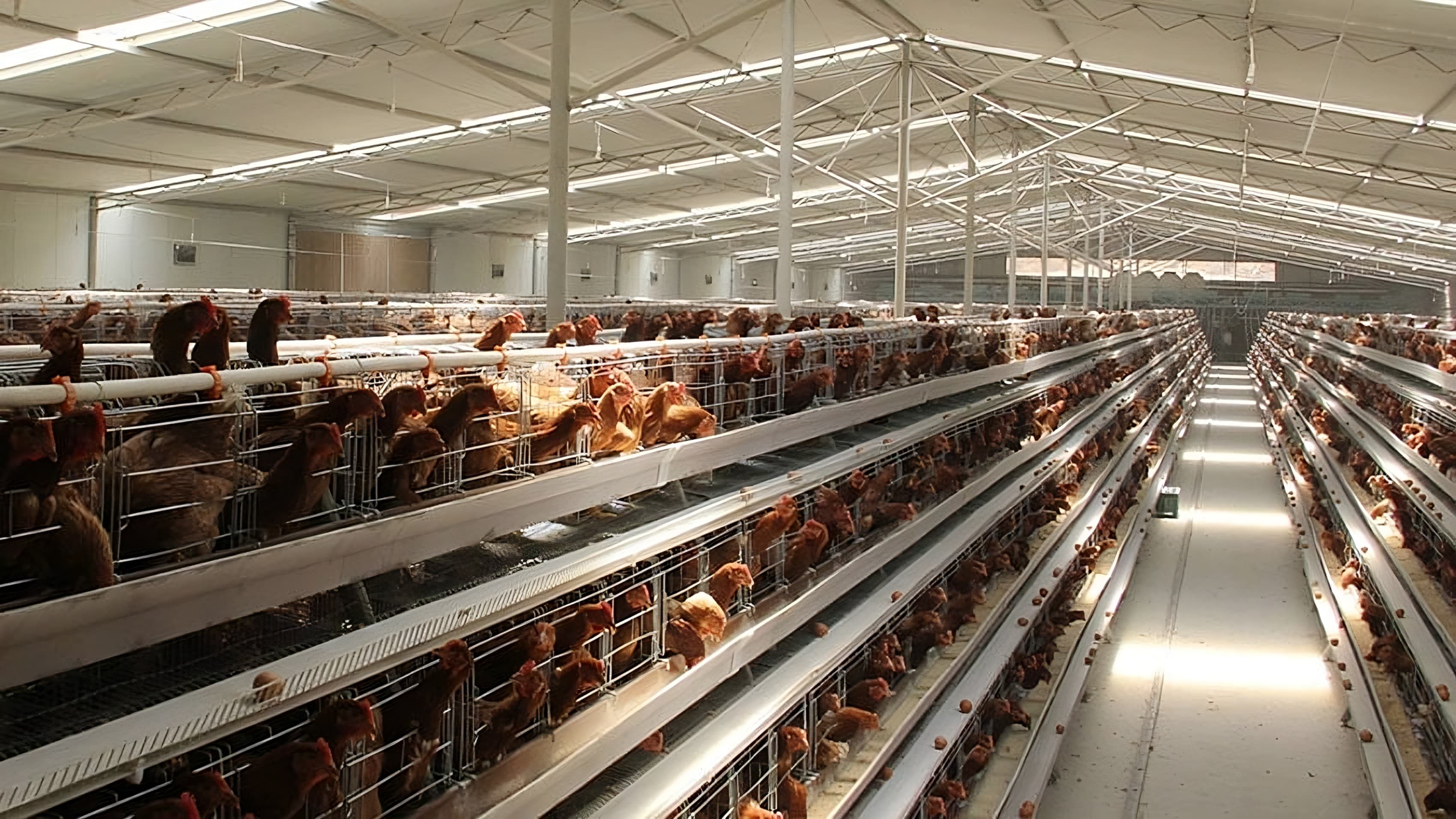 Hatchery & Breeding Unit