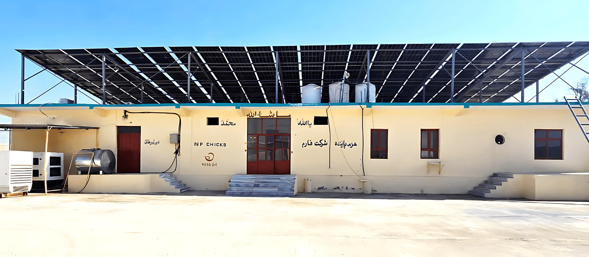 Control shed - Nasir Poultry Group of Company