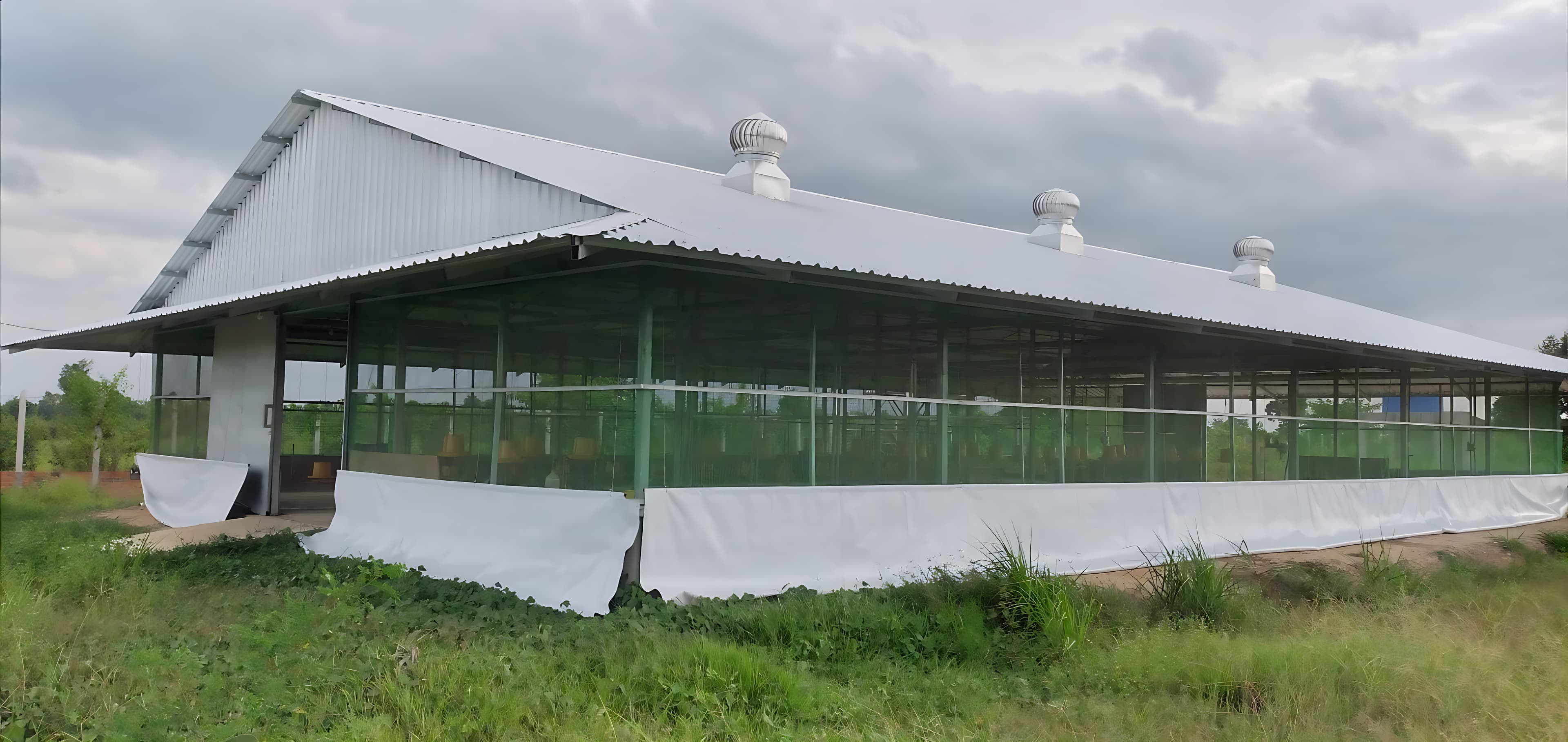 Modern poultry farm facility