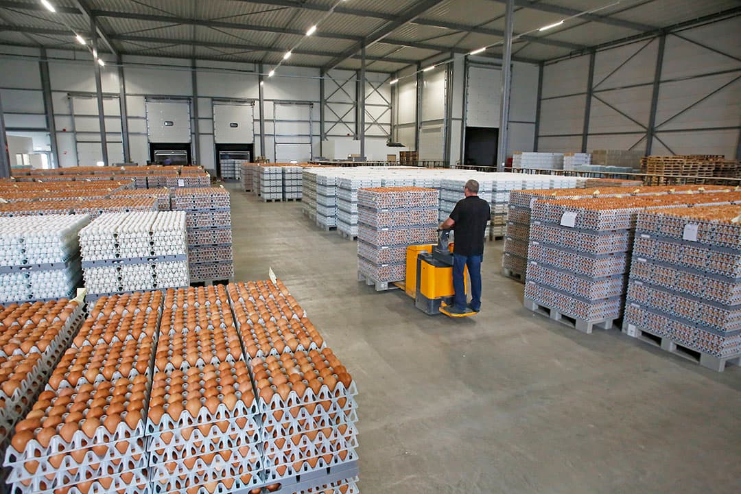 Packaging & Cold Storage